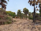 Land for sale jaffna
