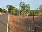Land for Sale Jaffna