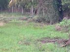 Land for Sale Chavakachcheri