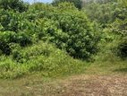 Land for Sale නාගොඩ