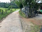 Land for Sale In Horana