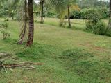 Land for Sale - Pokunuwita