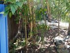 Land for sale Panadura