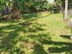 Land For Sale Panadura