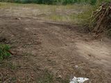 Land for Sale in Hambantota