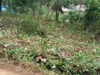 Land for Sale Horana