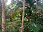 Land for Sale in Horana