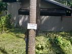Land For Sale - Kandy