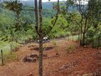 Land for Sale Gampola