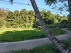 Land for Sale Peradeniya