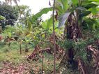 Land for Sale Haaragama