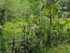 Land for Sale Gampola