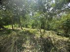 Land for Sale Hindagala