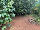 Land for Sale - Godamuduna