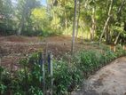 Land for Sale Pilimathalawa