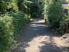 Land for Sale Kengalla