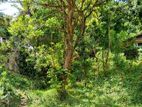 Land for Sale Galagedara