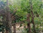 Land for Sale in Kandy