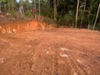 Land for Sale කෑගල්ල