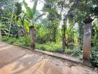 Land for Sale Mawanella