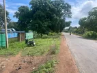 Land for Sale Kilinochchi