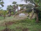 Land For Sale Kilinochchi