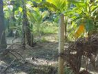 Land for Sale Kilinochchi
