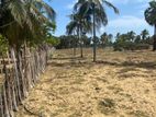 Land for Sale Kilinochi