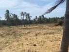 Land for Sale Kilinochchi