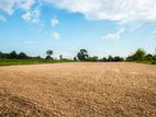Land for Sale Mulankavil