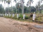 Land for Sale - කුරුණෑගල