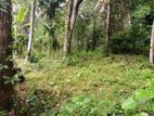 Land for Sale Giriulla