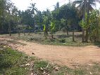 Land for Sale Pothuhera