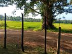Land For Sale Maspotha