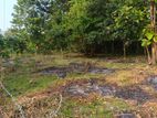 Land for Sale Ibbagamuwa
