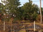 Land for Sale Ibbagamuwa