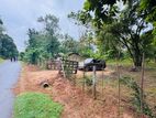 Land for Sale සීගිරිය