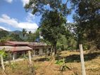 Land for Sale in Palapathwela