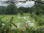Land for Sale Dambulla