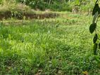 Land for Sale Palapathwala