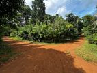 Land for Sale Matale