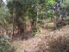 Land for Sale Palapathwela