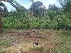 Land for Sale Warakapitiya