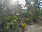 Land for Sale Kekanadura