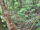 Land for Sale Kakenadura