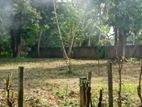 Land for Sale in Katharagama
