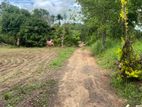 Land for Sale Handapanagala