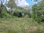Land for Sale Kataragama