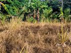 Land for Sale Monaragala