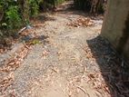 Land for Sale Buttala